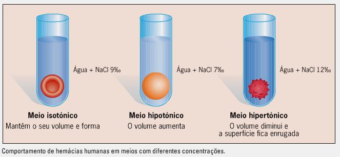 Osmose Apenas a água difundese através da membrana semipermeável.