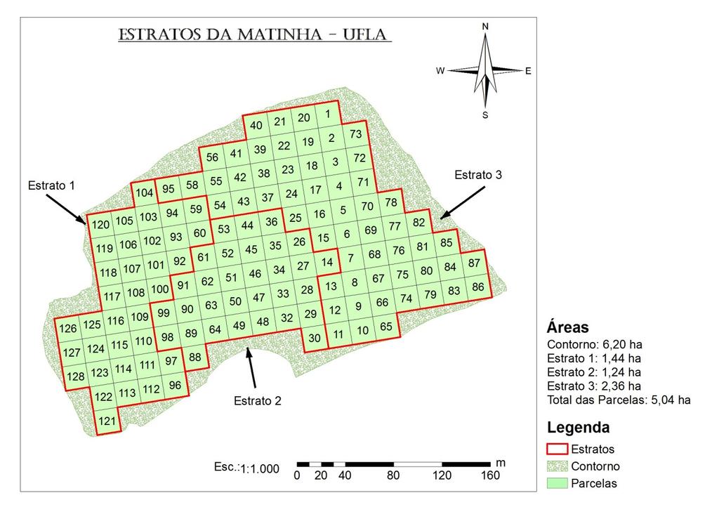 Figura 1. Mapa da área de estudo com a delimitação dos estratos e a numeração de todas as parcelas cabíveis na área.