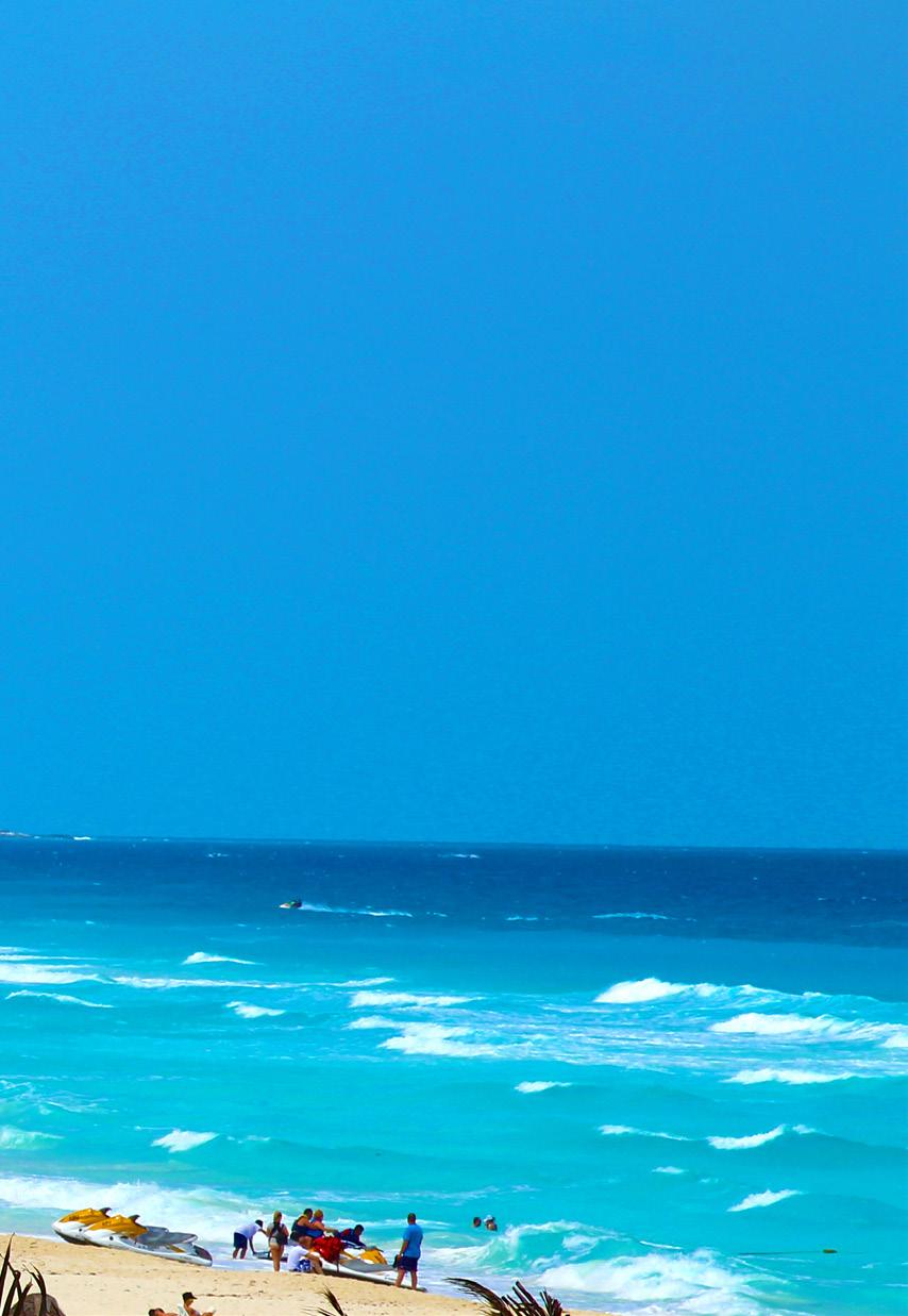 A dica é sempre andar com sua câmera fotográfica, afinal, você não vai querer perder de registrar nenhum momento desse paraíso! experiência de nadar com os amáveis golfinhos.