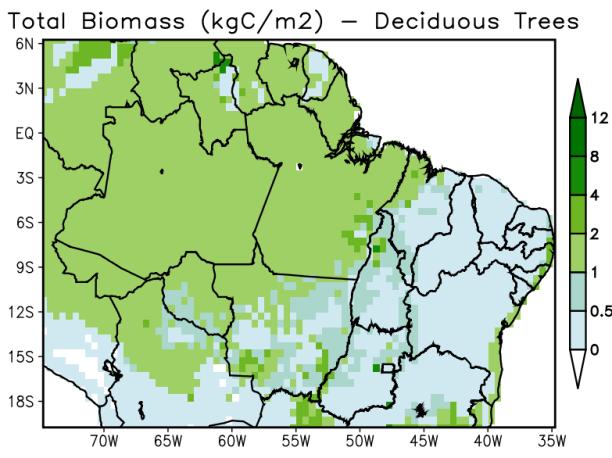 temperate broadleaf +