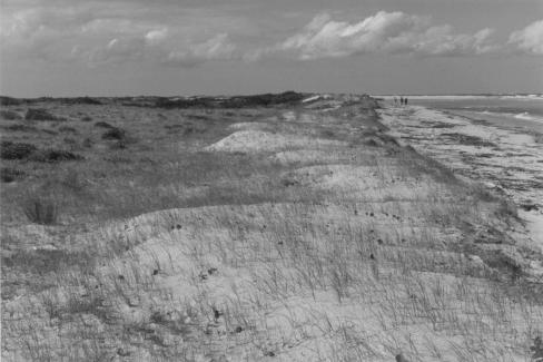 Figura 16: Cordão de dunas do Pleistoceno Superior ou Holoceno, na Ilha do Mel (modificado de Angulo 1993a). (1) cordão dunar, (2) morros, (3) outras unidades.
