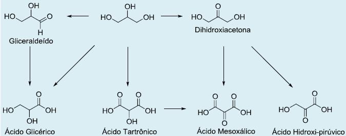 (Especialidades / Química Fina) Avaliação