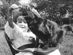 Infância La Petite fille et son chat A Miúda e o seu gatinho, França, 1900 Premiers pas de bébé Os primeiros passos do bebé, lugar e ano não identificados Pêche aux poissons rouges A Pescar peixinhos