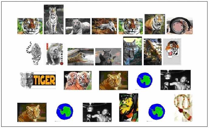 Mineração de Imagens Exemplos Filtragem de resultados de sistemas de busca de imagem