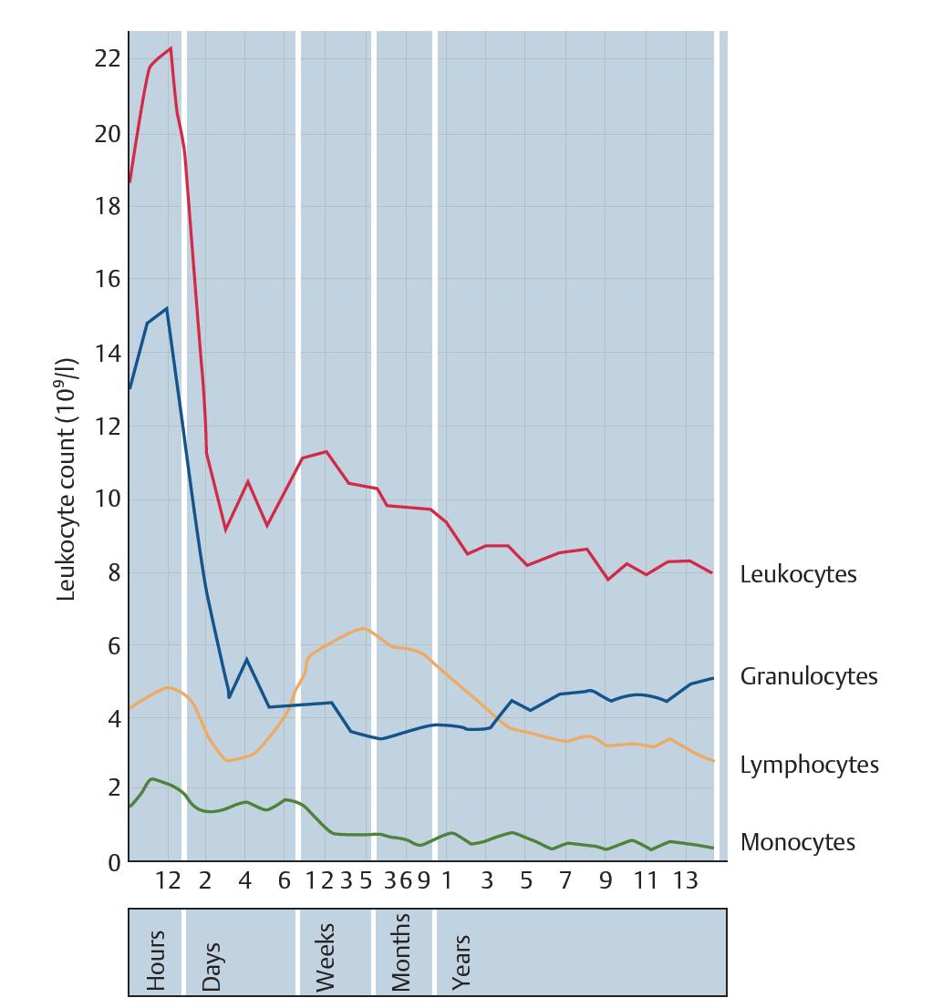 Linfócitos Os leucócitos mais frequentes