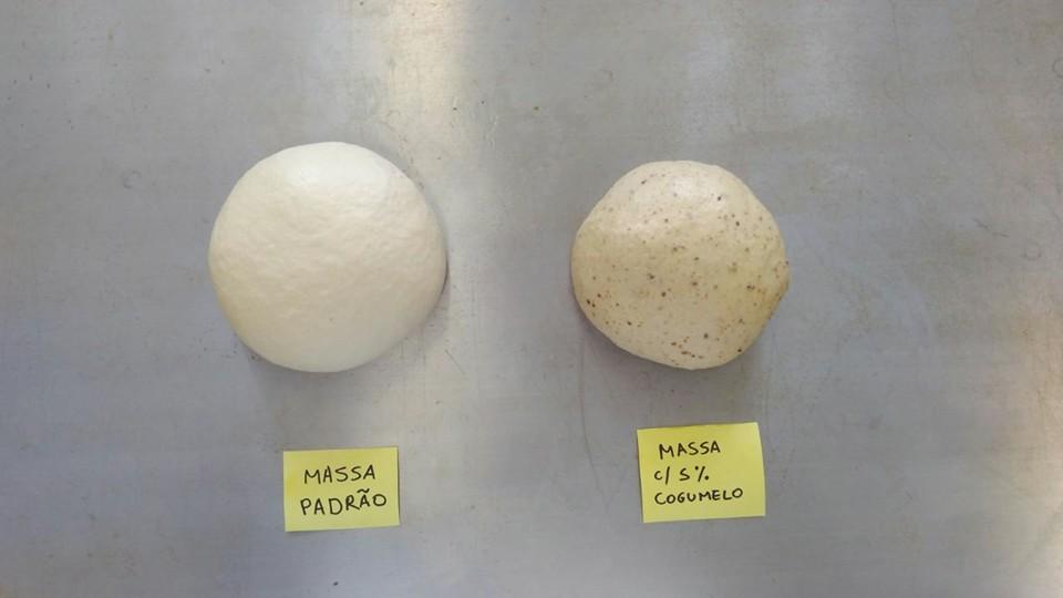 A presente pesquisa gerou dois tipos de pães adicionados de cogumelos shimejis, sendo o primeiro pão com cogumelos desidratados e o segundo pão com cogumelos