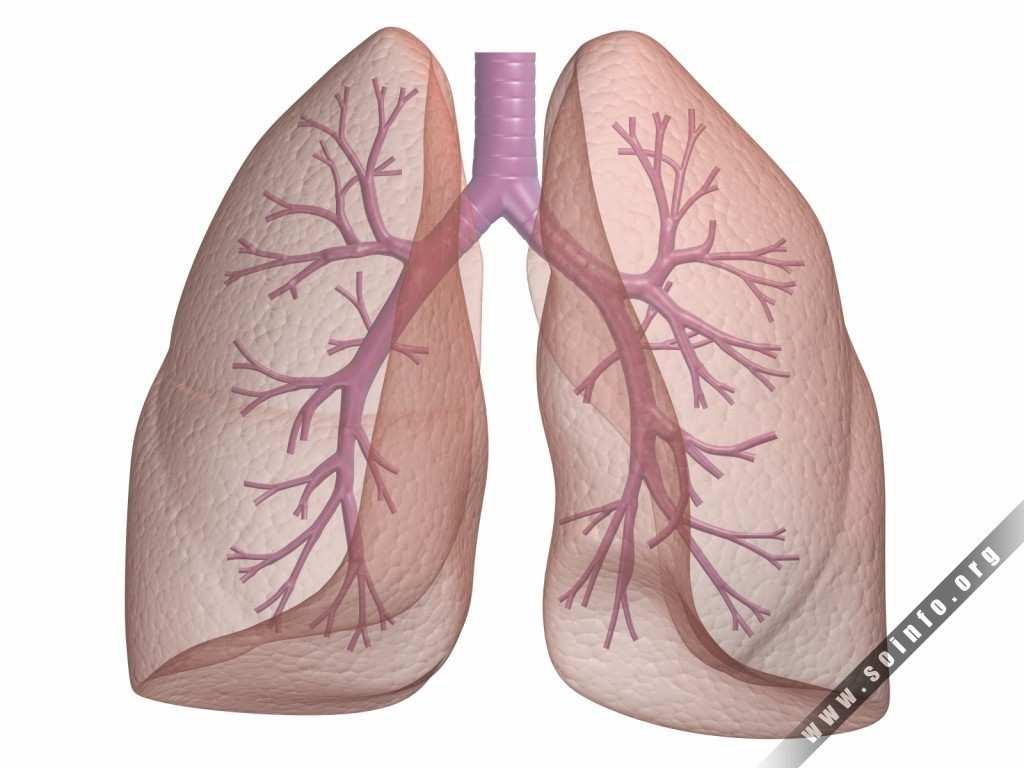 cardiovasculares Doenças