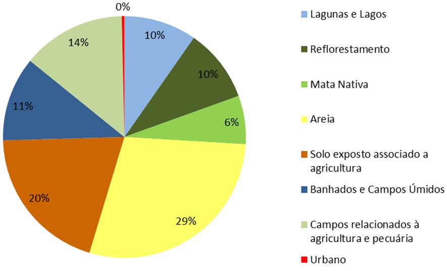 banhados e degradação para elementos de origem antrópica, como pastagem cultivada e solo exposto associado à agricultura e pecuária.