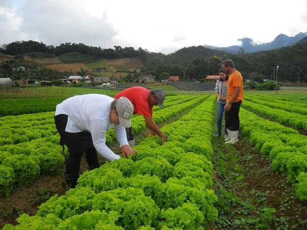 Cidade recebe incentivo para práticas sustentáveis (Foto: Paulo Filgueiras/Divulgação) "Se hoje o país é o segundo maior exportador global de alimentos, em volume, em dez anos pode se tornar o número