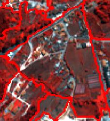 11 - Área da imagem IKONOS (RGB 421) relativa a uma zona com áreas agrícolas e urbanas com a sobreposição dos contornos dos objectos, gerados na segmentação, apresentados a