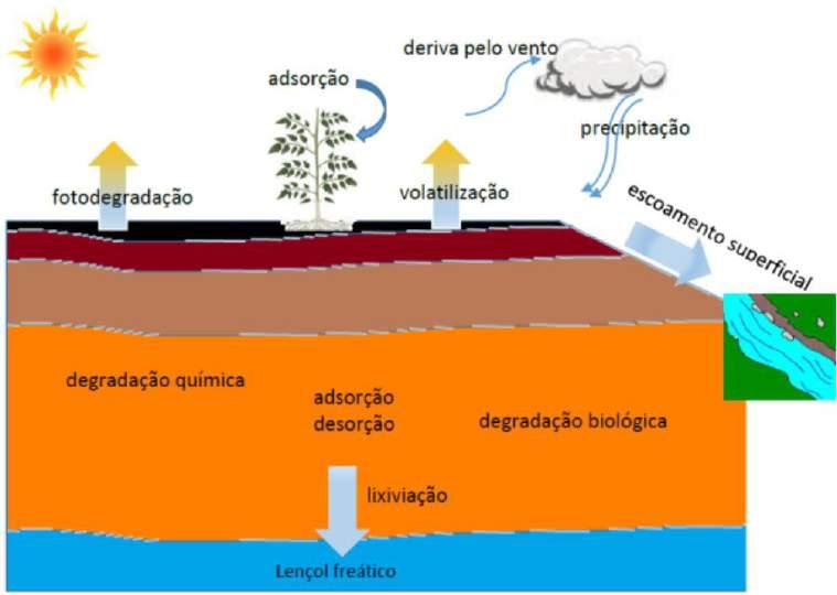 Figura 1. Dinâmica dos pesticidas no ambiente. Fonte: Spadotto et al.