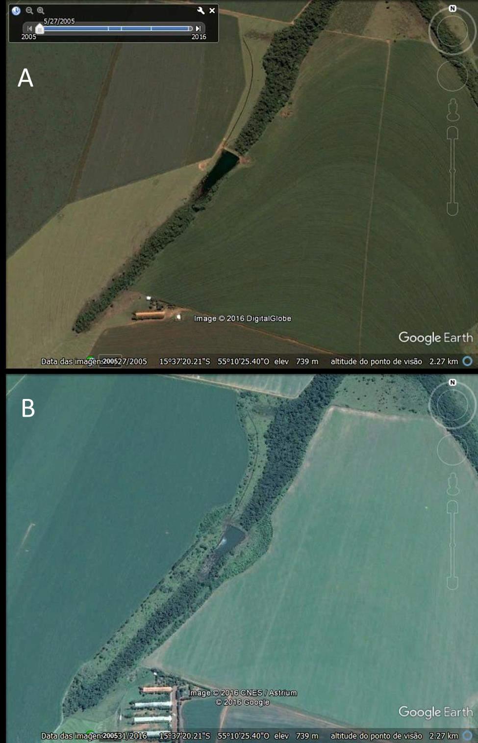 vegetação com espécies nativas em uma faixa de 50 m ao longo do córrego, tendo como ideia central a recuperação do ambiente e a