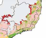 O total encontrado de cobertura vegetal nativa para o bioma foi de 26,97%, dos quais 21,80% são compostos por diferentes fisionomias florestais (Tabela 5, Figura 6).