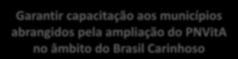 AGENDA DE COMPROMISSOS Pactuação de Metas Reforço ao papel da Referência Estadual de Alimentação e Nutrição junto aos municípios aderidos à ANDI