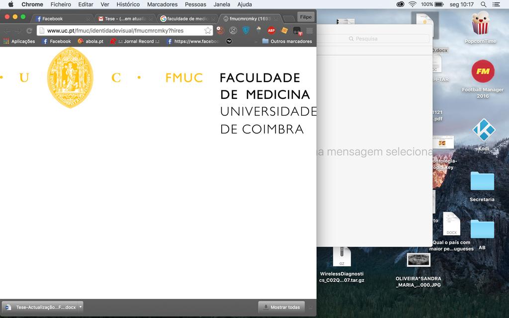 TECIDOS MOLES FACIAIS ANÁLISE E PREVISÃO CEFALOMÉTRICA - FACE2CEPH Filipe Silva Orientador: