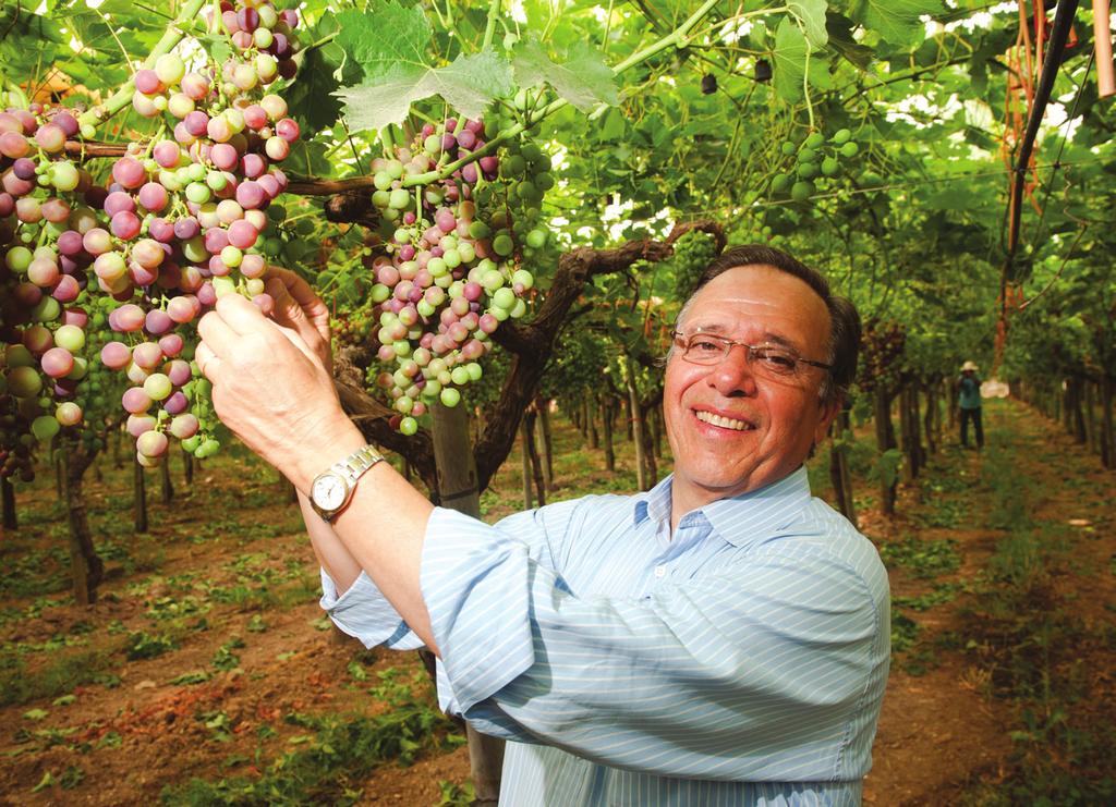 Com uma quinta que ocupa 650 hectares de área de carvalhos e várzeas, Alfredo converteu a sua herdade para a produção orgânica em 2001.