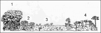 (A) Saara; Nepal; sedimentação. (B) Vitória; Índia; vossorocamento. (C) Atacama; Tailândia; meteorização. (D) Kalaari; Vietnã; erosão. (E) Gobi; Mongólia; desertificação.