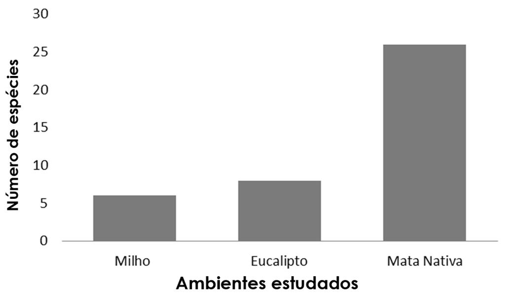 Corassa et al. (2015) / Biodiversidade da mirmecofauna... de Mato Grosso, Campus de Sinop.