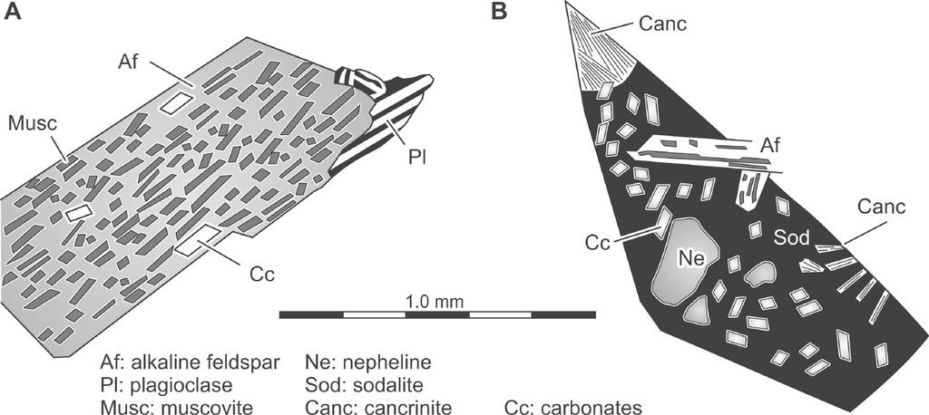 Interstitial framework made up of tabular crystals of alkaline feldspar partially altered into muscovite; B. Calcite of fibrous habit and sodalite in a feldspathoid aggregate; C.