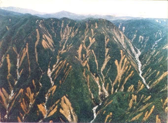 A zona denominada Serrania Costeira, caracteriza-se geomorfologicamente pela presença de escarpas abruptas, que se intercalam com anfiteatros sucessivos, separados por espigões.