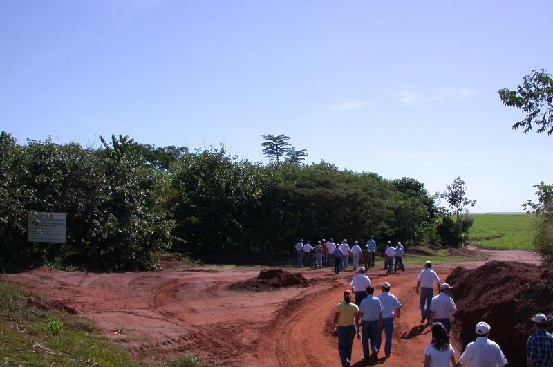 habitat florestal Floresta em Restauração com