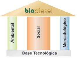 Além da transesterificação, alguns outros processos também podem ser utilizados para obtenção do biodiesel. Esses processos são o craqueamento e a esterificação.