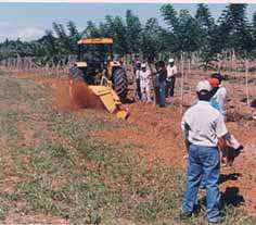 76 Cultivo da Pimenta-do-reino na Região Norte Fig. 4. Abertura de drenos com escavadeira acoplada a trator de rodas.