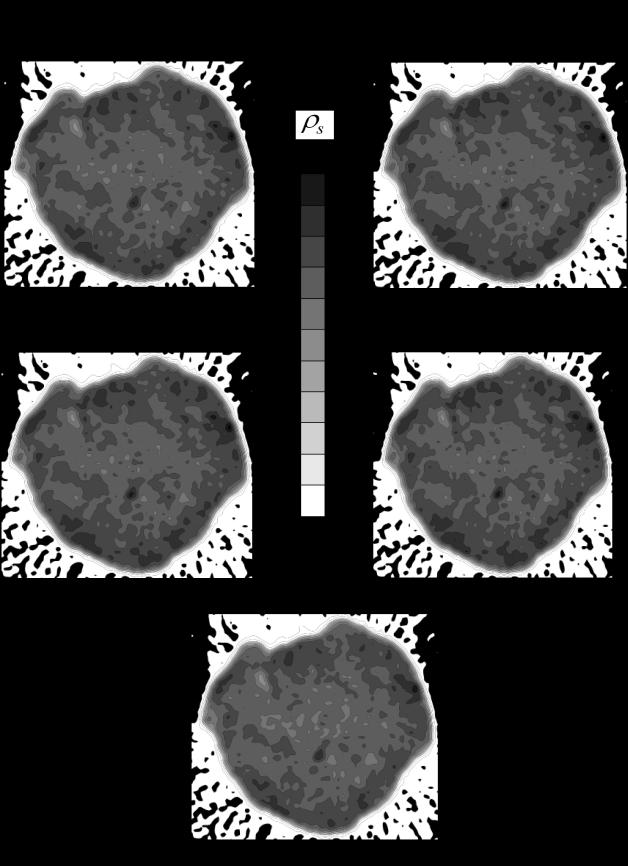 4 Figura.6. Imagens tomográficas (D) de um torrão de solo argiloso geradas com o valor teórico (XCOM) e com os valores médios de µ es (x 4 e x>4 cm) para a fonte de 41 Am e diferentes colimadores.
