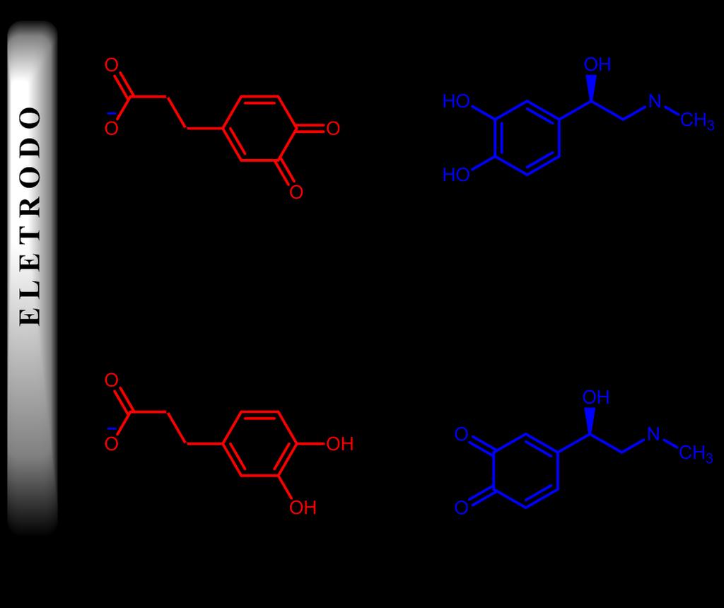 78 Figura 39 - Modelo proposto para o mecanismo de oxidação eletrocatalítica de epinefrina sobre o ECV/MWCNT/AF. Fonte: Autor, 2014.