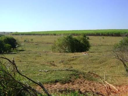 54 Se observarmos a paisagem de entorno do Sítio Célia Maria veremos que ele está implantado na vertente média-inferior de uma colina ampla, próximo a cabeceira de nascente como observado na Foto 2.