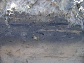 carvão e terra queimada, indícios importantes de possível fogueira interna na área desse núcleo (Fotos 12 e 13).