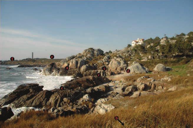 Monumento Natural Local do Alcantilado de Montedor Geossítio de Montedor: Património arqueológico - a) gravuras rupestres e b) pias salineiras; Património geomorfológico - c) plataforma costeira do