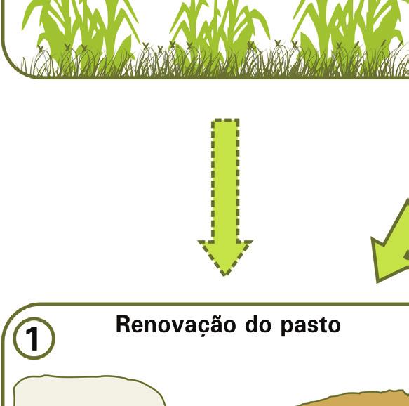 recuperação