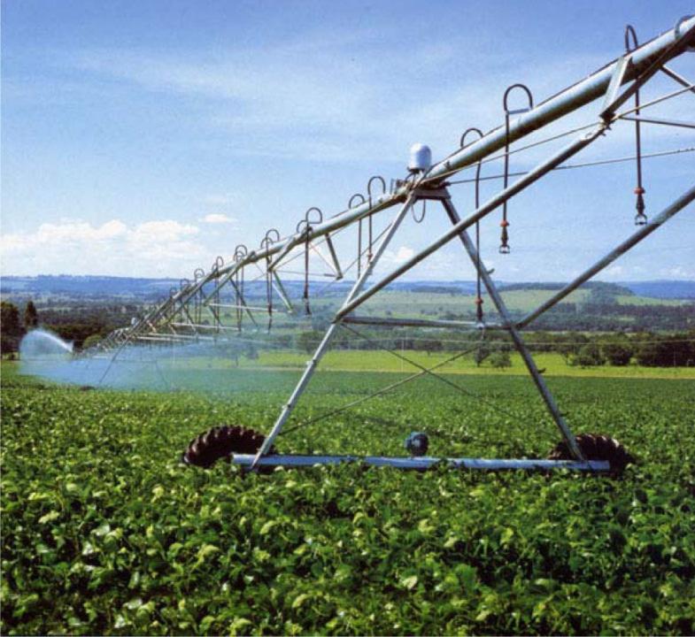 A irrigação viabiliza o cultivo de espécies de plantas em locais