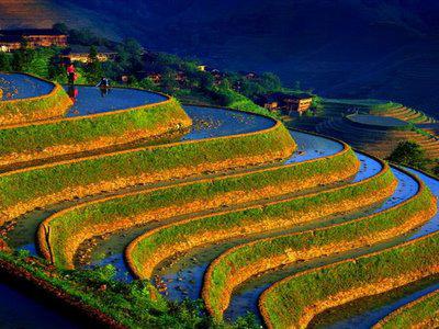Na China, sua imensa população sempre teve que realizar muitos esforços para cultivar arroz.