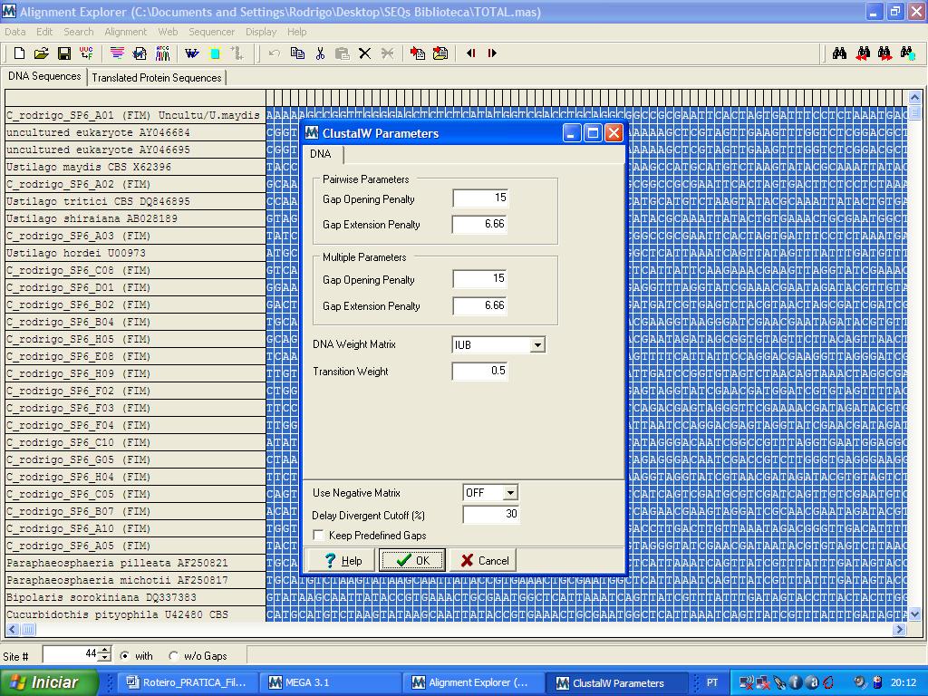 05. Complete os nomes das sequências e coloque também os números de acesso na janela do alinhamento. 06.