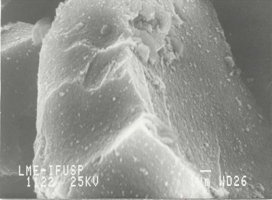 As partículas menores apresentam maior área específica, entretanto as micrografias das amostras de pseudoboemitas calcinadas a 500º C apresentam morfologia e tamanho semelhante para as 8 amostras.