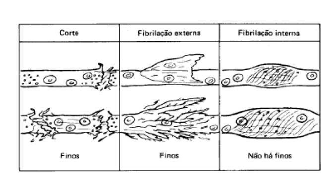 a qual foi projetada inicialmente para desintegrar trapos. Neste mesmo período surgia a polpação de madeira que inevitavelmente passou a ser processada neste mesmo equipamento (VIEIRA,2010).