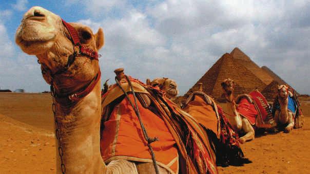 658_ 9 DIAS 12 Refeições Pirâmides Cairo Melhor do Egito (Com Alexandria) Datas de Chegada ao Cairo: 2017: Março: 05, 12, 19, 26; Abril: 02, 09, 16, 23, 30; Maio: 07, 14, 21, 28; Junho: 04, 11, 18,