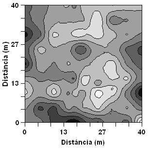 No tocante ao desempenho dos semivariogramas a relação decrescente deles, analisada pela grandeza do coeficiente de determinação espacial (r 2 ), foi a seguinte: 1) [PRG=f(P2)] (0,880), 2)