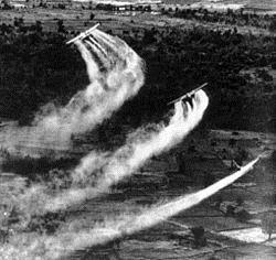 No período de 1961 a 1971, as tropas americanas espargiram 80 milhões de litros de herbicidas, que continham 400 quilogramas de dioxina, sobre o