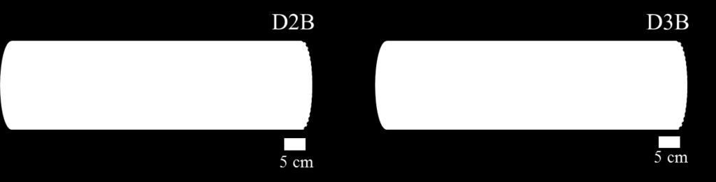 destinados para a realização dos ensaios de variação dimensional, isto tanto para os discos que foram tratados com CCA-C como para aqueles que não foram tratados.