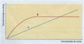 Meio 3 - Meio hipotónico. 3.3 Na célula C não ocorre movimento das moléculas de água através da membrana citoplasmática". Comente a afírmação mencionando se a considera verdadeira ou falsa. 3.4.