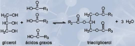 3 ác. graxos esterificados + Glicerol - simples: ác. iguais - mistos: ác. Diferentes Hidrofóbicos Apolares Insolúveis em água.