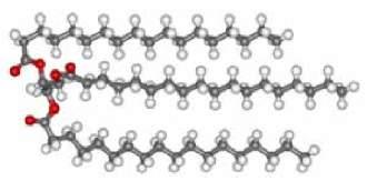 Ligada a membrana mitocondrial interna a carnitina aciltransferase II converte a acil-carnitina em acil-coa graxo.