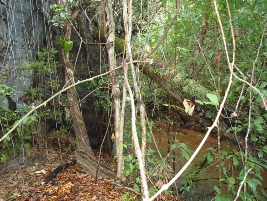 município de Mambaí, Goiás, outubro, 2010.