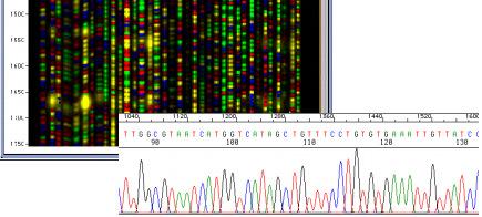 Bioinformáticahistórico