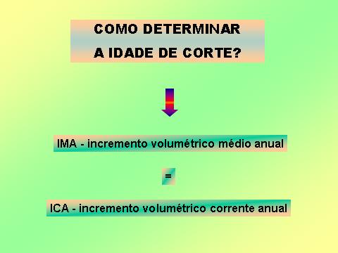 2 2. IDADE DE CORTE Uma floresta deve ser explorada quando as árvores que a constituem atingirem o máximo crescimento e produzirem a quantidade máxima de madeira.