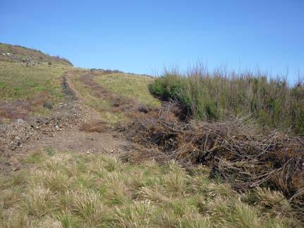 Zona de intervenção na área da reserva ecológica do projecto. A colocação das armadilhas teve lugar no dia 22 de Setembro.