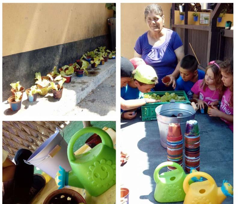 3-10 ANOS Um workshop que desenvolve os conhecimentos das crianças sobre as plantas e os vegetais, através da criação de uma mini-horta.